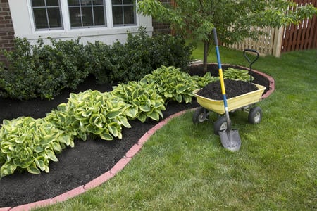 Transform Your Outdoor Space with Expert Landscaping Services Thumbnail