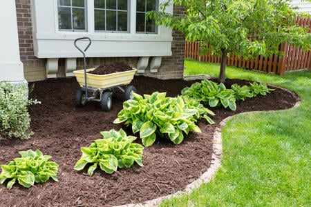 Landscaping services