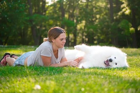 Plant Health Care & Tick Control